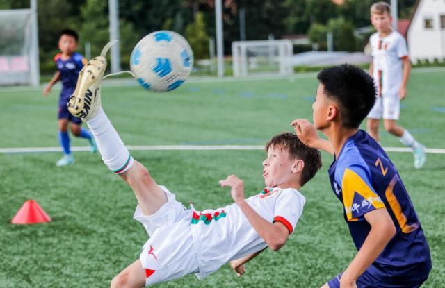 1718913035075032159.jpg 3.jpg